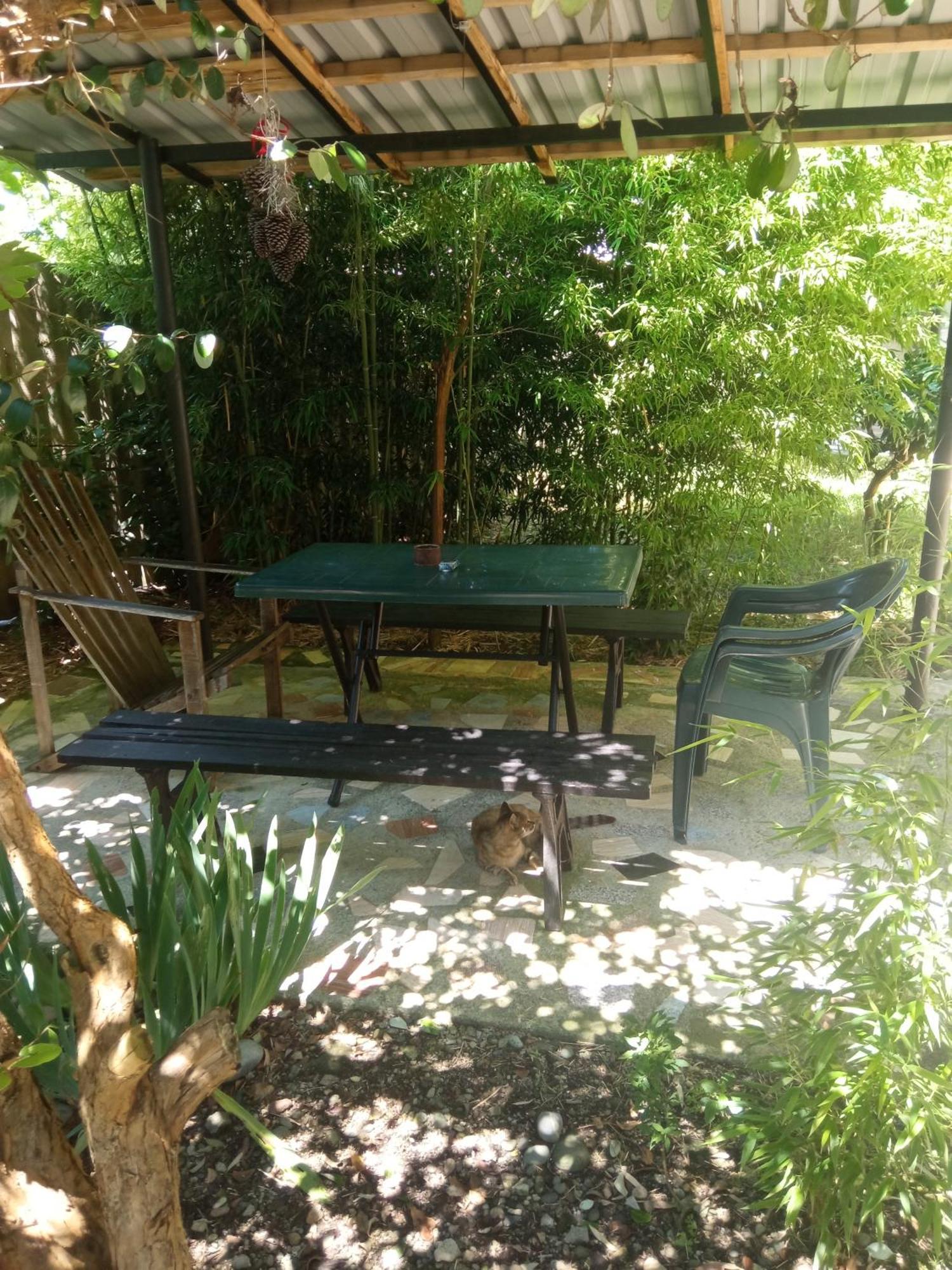 Zaza Otel Kobuleti Dış mekan fotoğraf